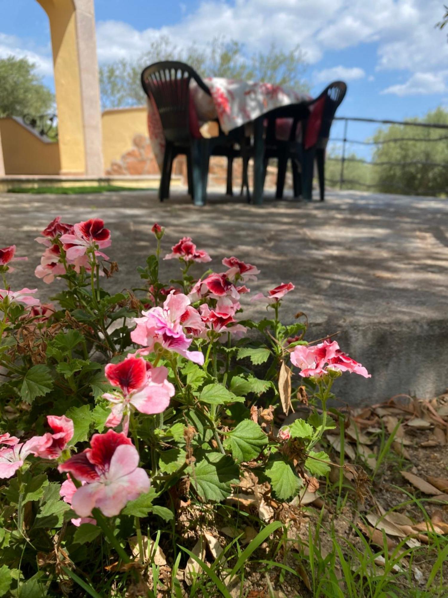 Case Vacanze Villa Rosita San Teodoro  Extérieur photo
